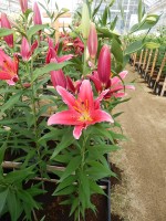 [4361 Kings Cross DJ No01.JPG]